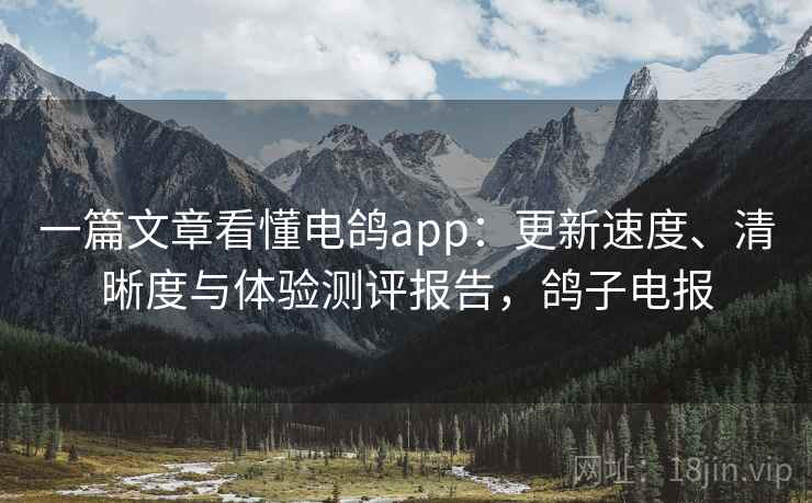 一篇文章看懂电鸽app：更新速度、清晰度与体验测评报告，鸽子电报