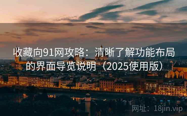 收藏向91网攻略：清晰了解功能布局的界面导览说明（2025使用版）