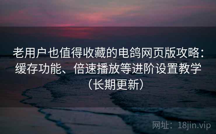 老用户也值得收藏的电鸽网页版攻略：缓存功能、倍速播放等进阶设置教学（长期更新）