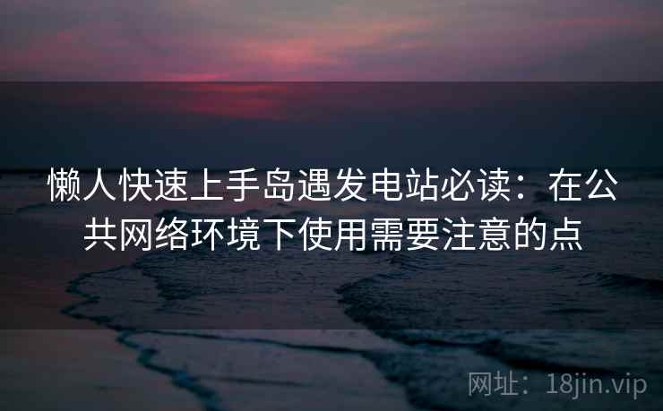 懒人快速上手岛遇发电站必读：在公共网络环境下使用需要注意的点