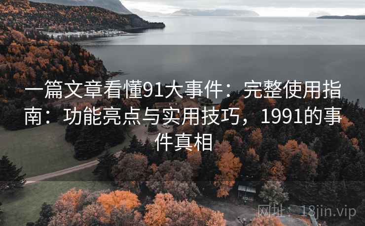 一篇文章看懂91大事件：完整使用指南：功能亮点与实用技巧，1991的事件真相
