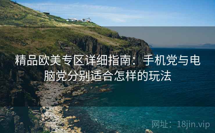 精品欧美专区详细指南：手机党与电脑党分别适合怎样的玩法