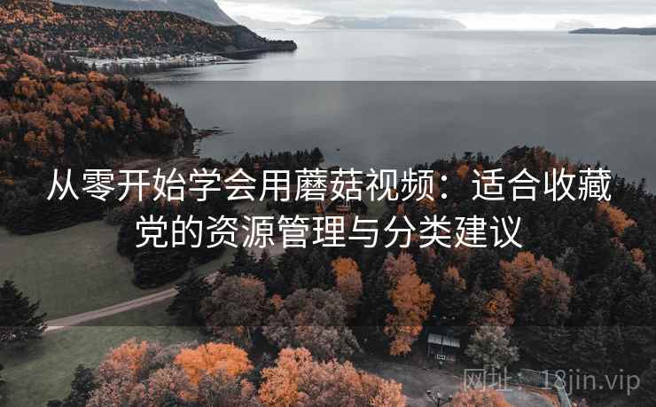 从零开始学会用蘑菇视频：适合收藏党的资源管理与分类建议