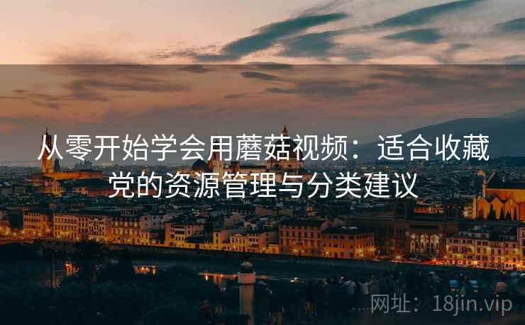 从零开始学会用蘑菇视频：适合收藏党的资源管理与分类建议