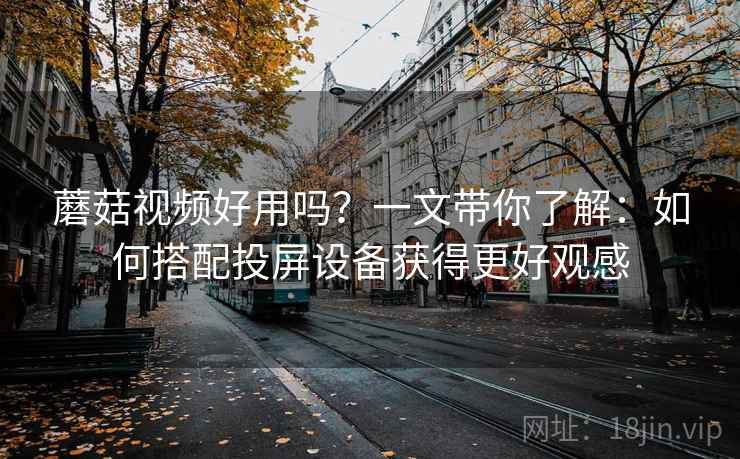 蘑菇视频好用吗？一文带你了解：如何搭配投屏设备获得更好观感