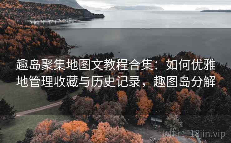 趣岛聚集地图文教程合集：如何优雅地管理收藏与历史记录，趣图岛分解