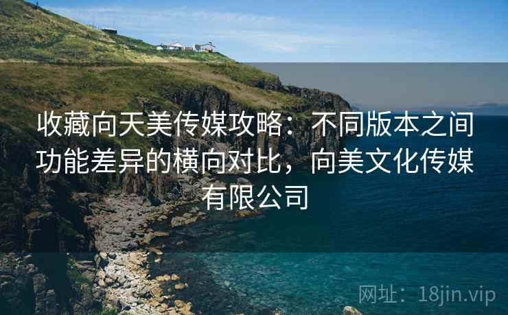 收藏向天美传媒攻略：不同版本之间功能差异的横向对比，向美文化传媒有限公司
