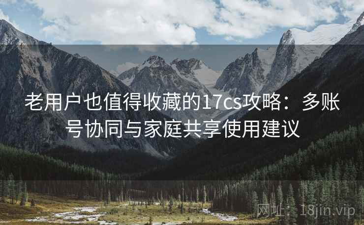 老用户也值得收藏的17cs攻略：多账号协同与家庭共享使用建议
