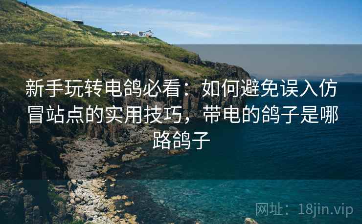 新手玩转电鸽必看：如何避免误入仿冒站点的实用技巧，带电的鸽子是哪路鸽子