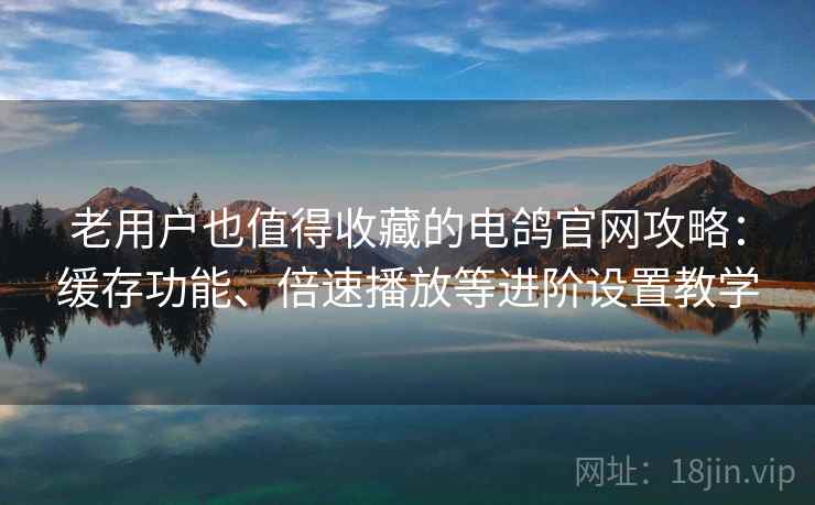 老用户也值得收藏的电鸽官网攻略：缓存功能、倍速播放等进阶设置教学