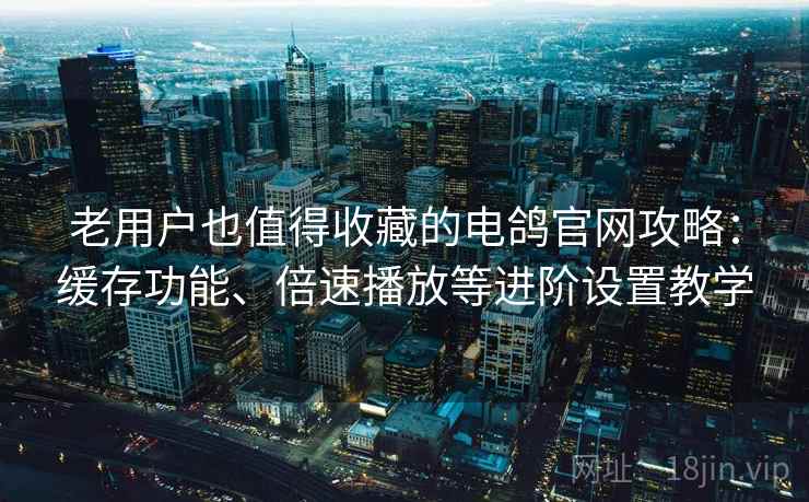 老用户也值得收藏的电鸽官网攻略:缓存功能、倍速播放等进阶设置教学 老用户也值得收藏的电鸽官网攻略:缓存功能、倍速播放等进阶设置教学