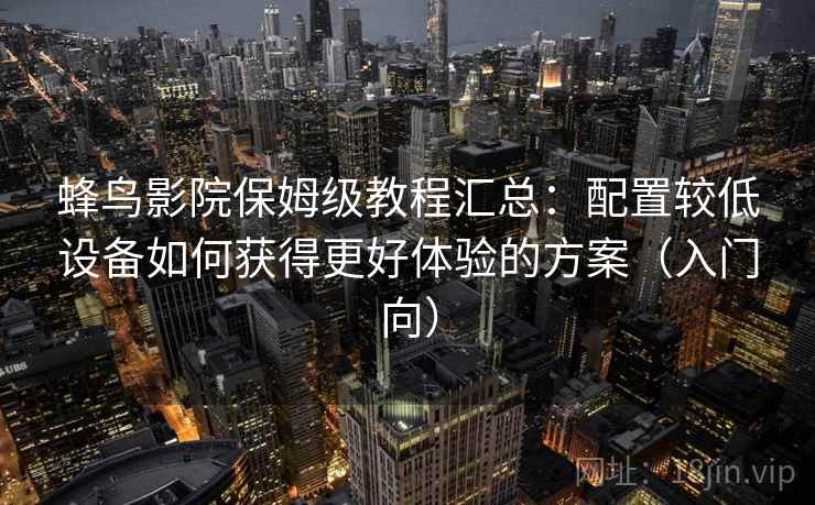 蜂鸟影院保姆级教程汇总：配置较低设备如何获得更好体验的方案（入门向）
