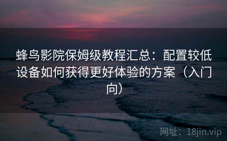 蜂鸟影院保姆级教程汇总:配置较低设备如何获得更好体验的方案(入门向) 蜂鸟影院保姆级教程汇总:配置较低设备如何获得更好体验的方案(入门向)