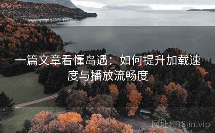 一篇文章看懂岛遇:如何提升加载速度与播放流畅度 一篇文章看懂岛遇:如何提升加载速度与播放流畅度
