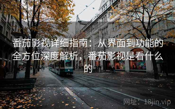 番茄影视详细指南：从界面到功能的全方位深度解析，番茄影视是看什么的